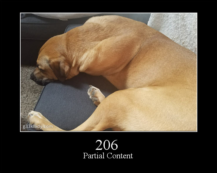 206PartialContent_img