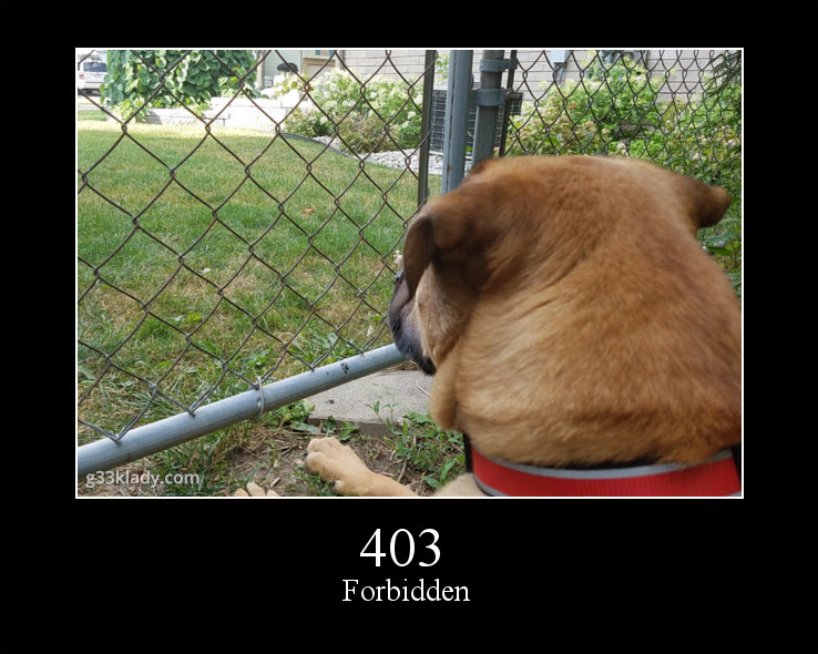 403Forbidden_img