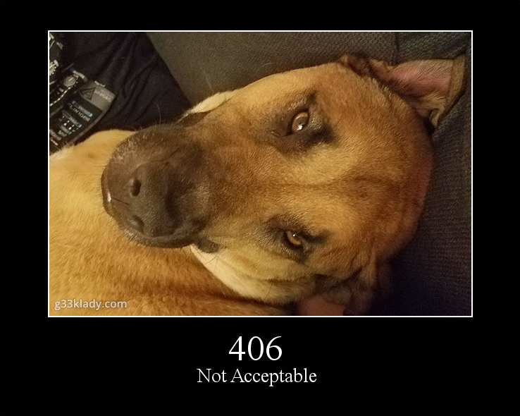 406NotAcceptable_img.jpg