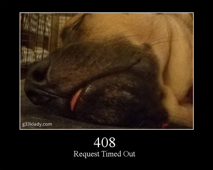 408RequestTimedOut_img