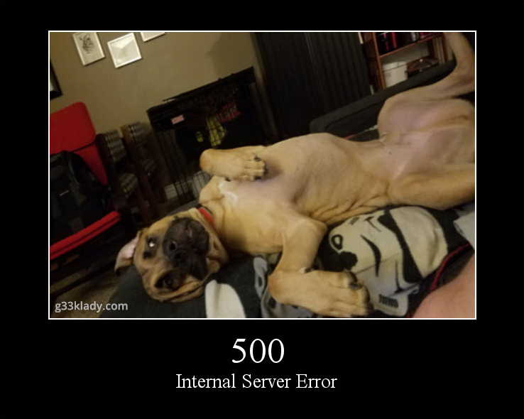 500internalServerError_img