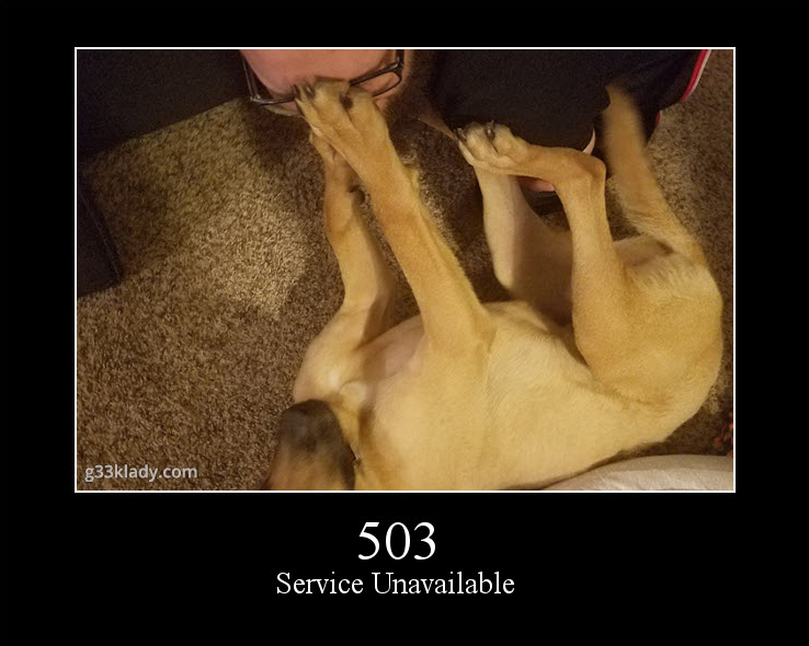 503ServiceUnavailable_img.jpg